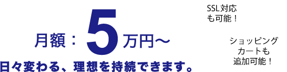 コンサル費用：5万円より